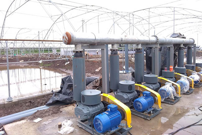 Máy Thổi Khí Nước Thải: Trái Tim Của Hệ Thống Xử Lý Sinh Học Hiện Đại